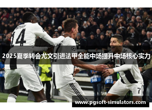 2025夏季转会尤文引进法甲全能中场提升中场核心实力 2025夏季转会尤文引进法甲全能中场提升中场核心实力