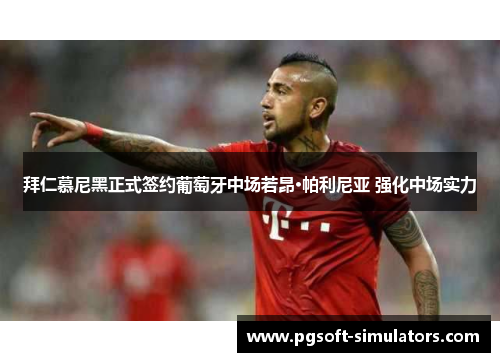 拜仁慕尼黑正式签约葡萄牙中场若昂·帕利尼亚 强化中场实力 拜仁慕尼黑正式签约葡萄牙中场若昂·帕利尼亚 强化中场实力