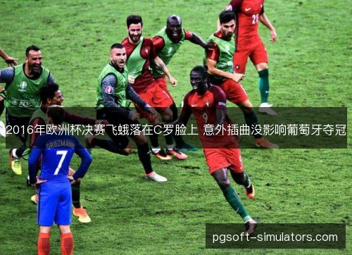 2016年欧洲杯决赛飞蛾落在C罗脸上 意外插曲没影响葡萄牙夺冠